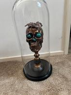 Skull met vlinders in grote stolp, Huis en Inrichting, Ophalen, Zo goed als nieuw