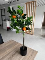 Sinaasappel boompje | kunstplant, Ophalen, Zo goed als nieuw, Binnen