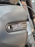 Harley Davidson Street Rod XG 750 A. (Vance & Hines), 2 cilinders, Chopper, Bedrijf, 749 cc