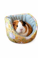 Snuggle Bed voor cavia of dwergkonijn NIEUW HANDGEMAAKT, Karinasdierenwebshop@hetnet.nl, Groningen, Nieuw, Ophalen of Verzenden