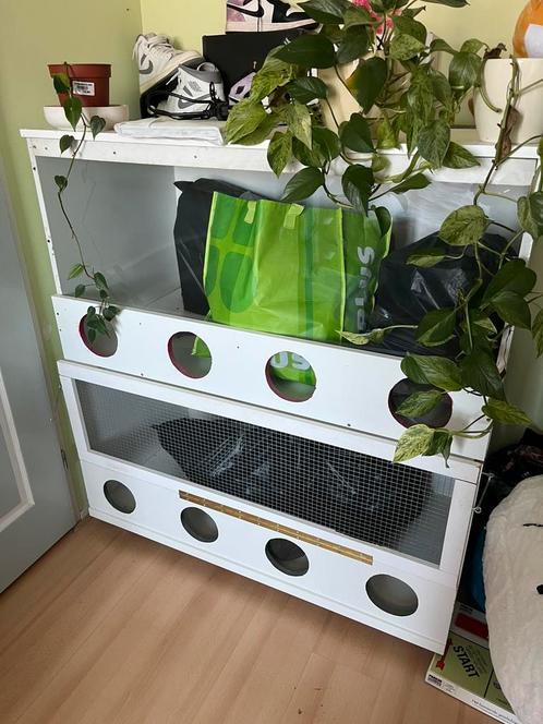 Prachtige hamster kooi, Dieren en Toebehoren, Knaagdieren en Konijnen | Hokken en Kooien, Zo goed als nieuw, Hok, 90 cm of meer