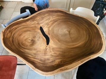 Suar houten boomstamtafel rond 100/130 beschikbaar voor biedingen