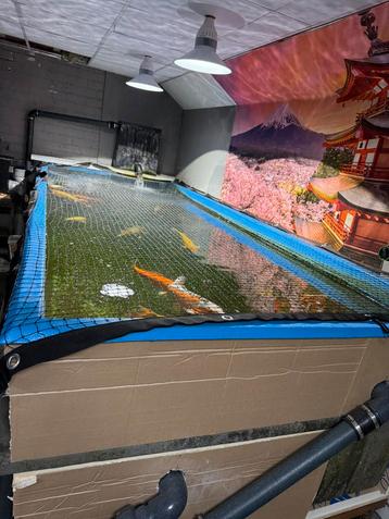 5m3 opgroeibak quarantaine bak koi beschikbaar voor biedingen