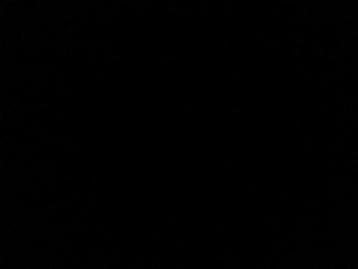 Vissen (gezocht) beschikbaar voor biedingen