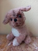 Cosy Peky van Steiff, Ophalen of Verzenden