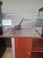 Div aquara op maat., Dieren en Toebehoren, Ophalen, Deutzstraat  2 1976bl, Aquariumbouwer, Nieuw