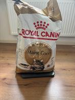 Royal canin maine coon 8,5 kg, Dieren en Toebehoren, Dierenvoeding, Ophalen of Verzenden, Kat
