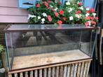 aquarium, Dieren en Toebehoren, Vissen | Aquaria en Toebehoren, Ophalen, Gebruikt, Leeg aquarium