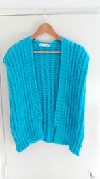 Supermooi mouwloos vest gilet spencer blauw Ambika S/M/L, Kleding | Dames, Blauw, Maat 42/44 (L), Ophalen of Verzenden, Zo goed als nieuw
