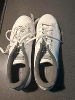 Adidas Stan Smith Wit Nieuw !! Wit/grijs maat 44, Kleding | Heren, Schoenen, Wit, Ophalen of Verzenden, Adidas, Sneakers of Gympen