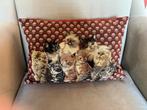 2 X Decoratief Kussen met Katten 44 x 30 cm en 32 x 28 cm, Ophalen, Zo goed als nieuw, Rechthoekig