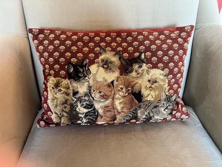 2 X Decoratief Kussen met Katten 44 x 30 cm en 32 x 28 cm, Huis en Inrichting, Woonaccessoires | Kussens, Zo goed als nieuw, Rechthoekig