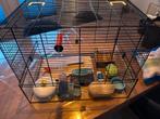 Hamsterkooi met veel toebehoren, Kooi, Minder dan 75 cm, Zo goed als nieuw, Muis