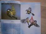 Vogels op en rond de voederplank  tuinvogels, Boeken, Verzenden, Zo goed als nieuw, Vogels