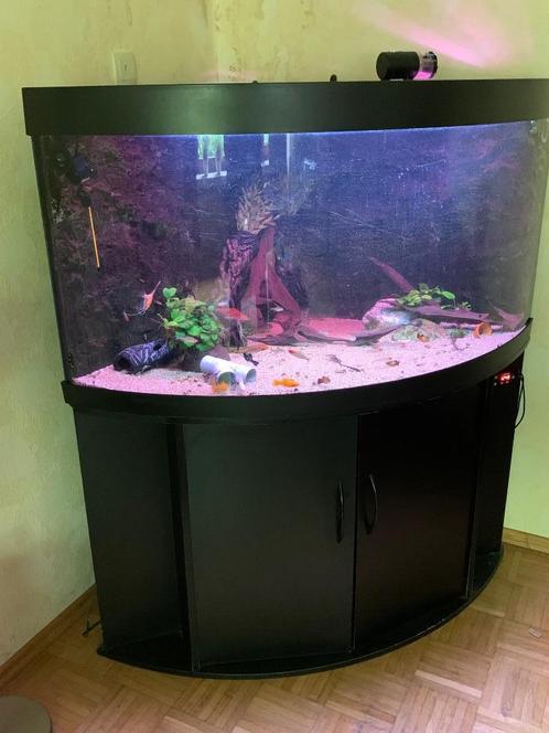 Juwel Trigon 350, Dieren en Toebehoren, Vissen | Aquaria en Toebehoren, Gebruikt, Overige typen, Ophalen