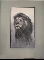 leeuwen schilderij, Ophalen