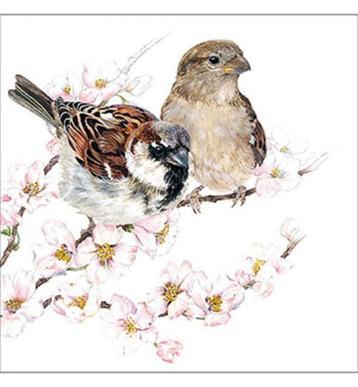 Ambiente servet sparrows blossom 33 x 33 cm 13313895 beschikbaar voor biedingen