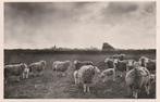 Texel, Verzamelen, Ansichtkaarten | Nederland, 1940 tot 1960, Gelopen, Waddeneilanden, Verzenden