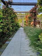 Terrastegel, Patio square concrete 60x60x4, Tuin en Terras, Tegels en Klinkers, Nieuw, Ophalen of Verzenden, 10 m² of meer, Beton