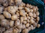 Nieuwe zeeuwse frieslander aardappelen, Diversen, Levensmiddelen, Ophalen of Verzenden
