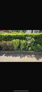 Bloembak stapelblokken antreciet met planten en zand, Ophalen of Verzenden, Minder dan 100 cm