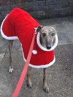 Windhonden kerst jas, Dieren en Toebehoren, Ophalen of Verzenden, Zo goed als nieuw