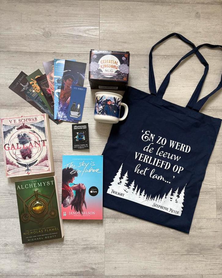 Boeken bundel pakket, Verzamelen, Boekenleggers, Zo goed als nieuw, Ophalen of Verzenden