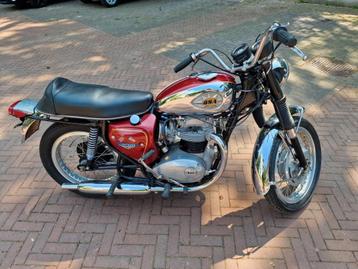1970 BSA 650 A65 Lightning 10km op teller beschikbaar voor biedingen