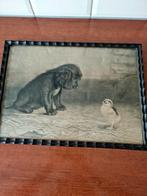 Ben Austrian 1903 hello who are you, Ophalen