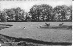 Westerbork Hertenkamp., Ophalen of Verzenden, 1960 tot 1980, Ongelopen, Drenthe