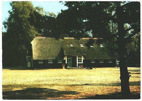 910083	Hooghalen	Drenthe	1979 gel in 82 het Kamphuis	Vrijzin, Verzamelen, Ansichtkaarten | Nederland, Gelopen, Drenthe, 1960 tot 1980