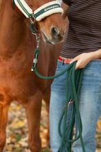 Leadrope donkergroen, Ophalen of Verzenden, Overige soorten