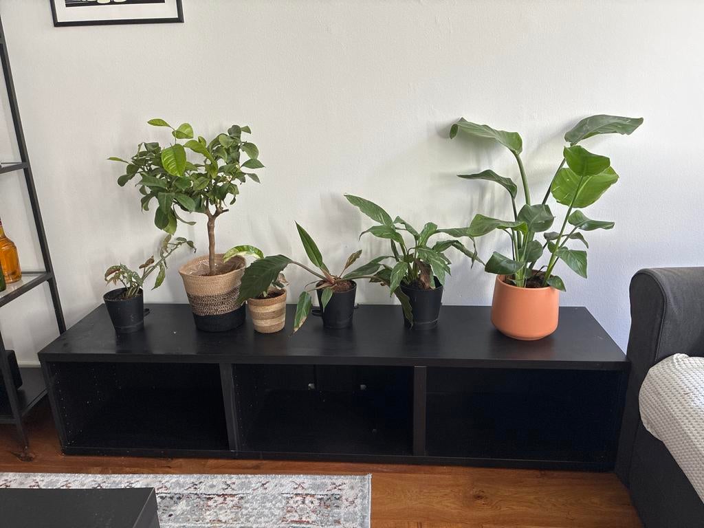 IKEA Kallax 2x4, Ophalen of Verzenden, Gebruikt, 25 tot 50 cm