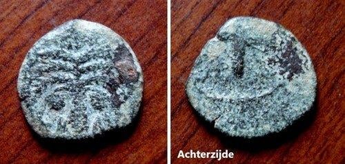 Bronzen Joods muntje, Een Prutah, Antonius Felix 52-59 AC, Postzegels en Munten, Verzenden, Midden-Oosten, Losse munt