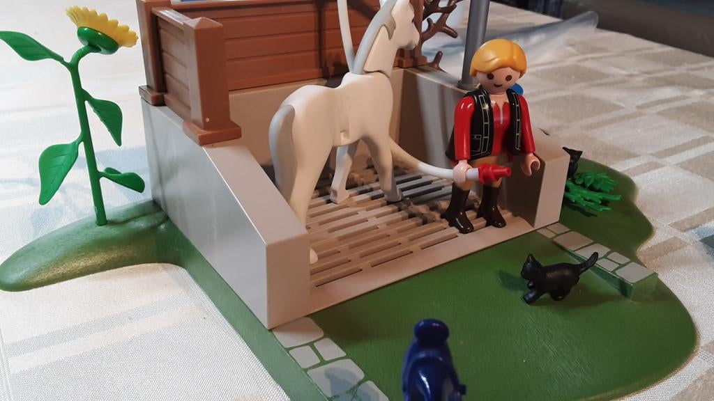 4193 wasstraat voor paarden, Kinderen en Baby's, Speelgoed | Playmobil, Ophalen of Verzenden, Zo goed als nieuw, Complete set