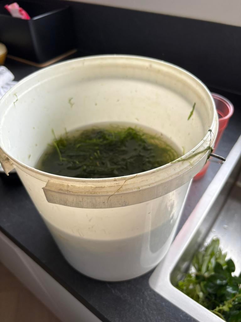 Javamos, Ophalen, Zo goed als nieuw, Kunststof