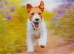 3D  Hond Jack Russel, Ophalen of Verzenden, 1960 tot 1980, Gelopen, Hond of Kat