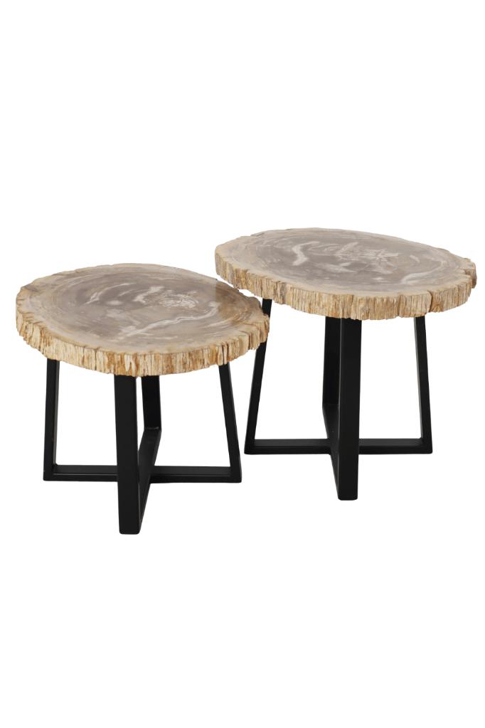 fossiele salontafel (los of set), 100 tot 150 cm, Nieuw, Overige vormen, Minder dan 50 cm