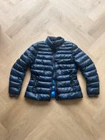 Tussenjas van Tommy maat L, Kleding | Dames, Jassen | Zomer, Ophalen of Verzenden, Gedragen, Blauw