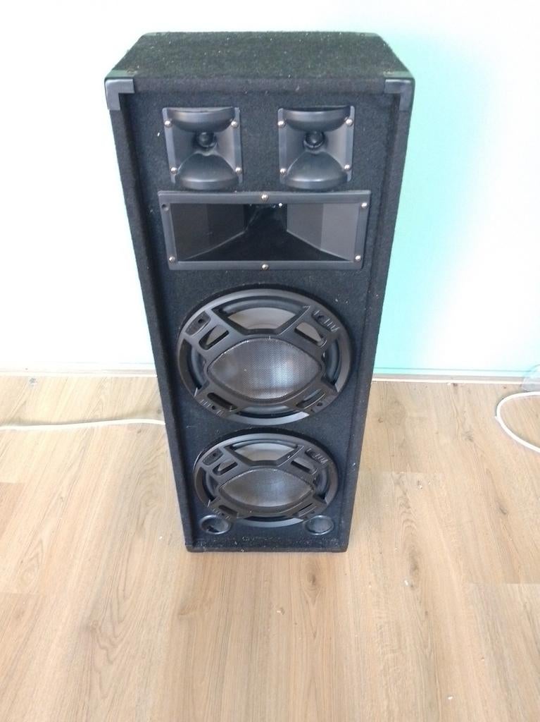 Fenton BS210 Disco Speaker met versterker (lichten defect), Gebruikt, Overige typen, 120 watt of meer, Ophalen