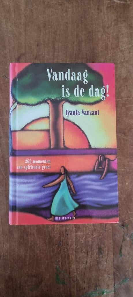 Vandaag is de dag! 365 momenten van spirituele groei, Achtergrond en Informatie, Spiritualiteit algemeen, Iyanla Vanzant, Ophalen of Verzenden