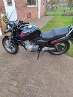 Honda CB 500, Motoren, Motoren | Honda, Particulier