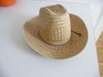 rodeohoed, Kleding | Dames, Hoeden en Petten, Ophalen of Verzenden, Zo goed als nieuw, One size fits all, Hoed