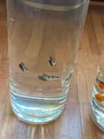 Akwarium met  5. mooie vissen  en met filter, Ophalen of Verzenden, Zo goed als nieuw, Overige typen