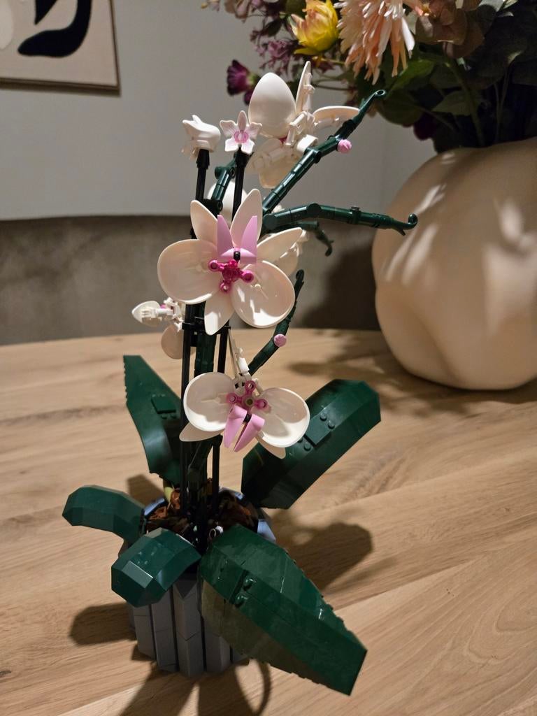Lego Orchidee 10311 - Botanische Collectie, Overige thema's, Lego, Compleet, Ophalen of Verzenden