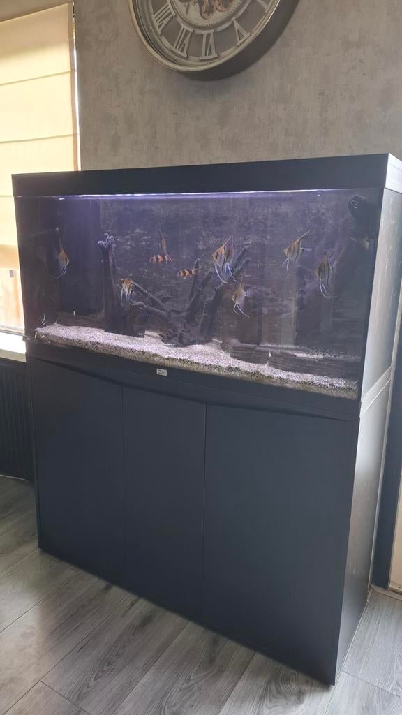 Aqualantis  aquarium +onderkast te koop 2jr met aankoopbon, Ophalen of Verzenden, Zo goed als nieuw, Zwart, Vleugel