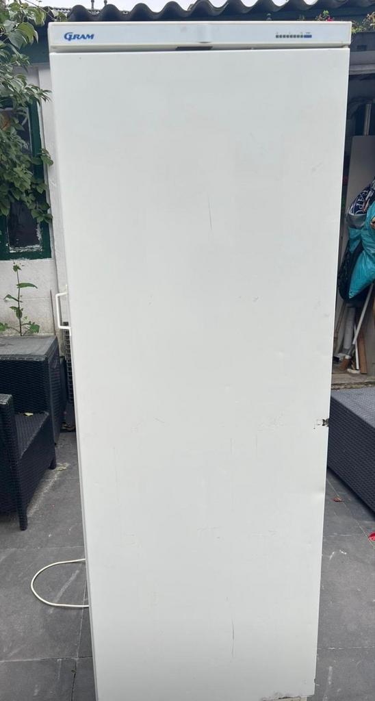 Koelkast - Ruime en Betrouwbare Koeling, Ophalen, 200 liter of meer, 60 cm of meer, 160 cm of meer