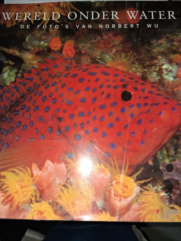 Wereld Onder Water - De Foto's van Norbert Wu, Boeken, Natuur, Ophalen of Verzenden, Gelezen, Natuur algemeen, Norbert Wu