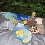 Decoratie knutselen Pasen met schelpen, Ophalen of Verzenden, Nieuw, Materiaal