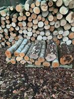 Stamhout in hanteerbare stukken: Berk, Esdoorn, Vogelkers, B, Tuin en Terras, Haardhout, 6 m³ of meer, Ophalen, Berkenhout, Stammen